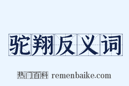 驼翔反义词是什么意思的图片